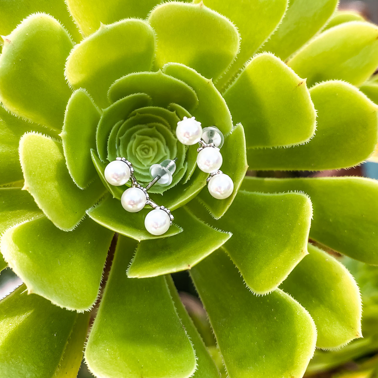 Silver Pearl Climber Studs
